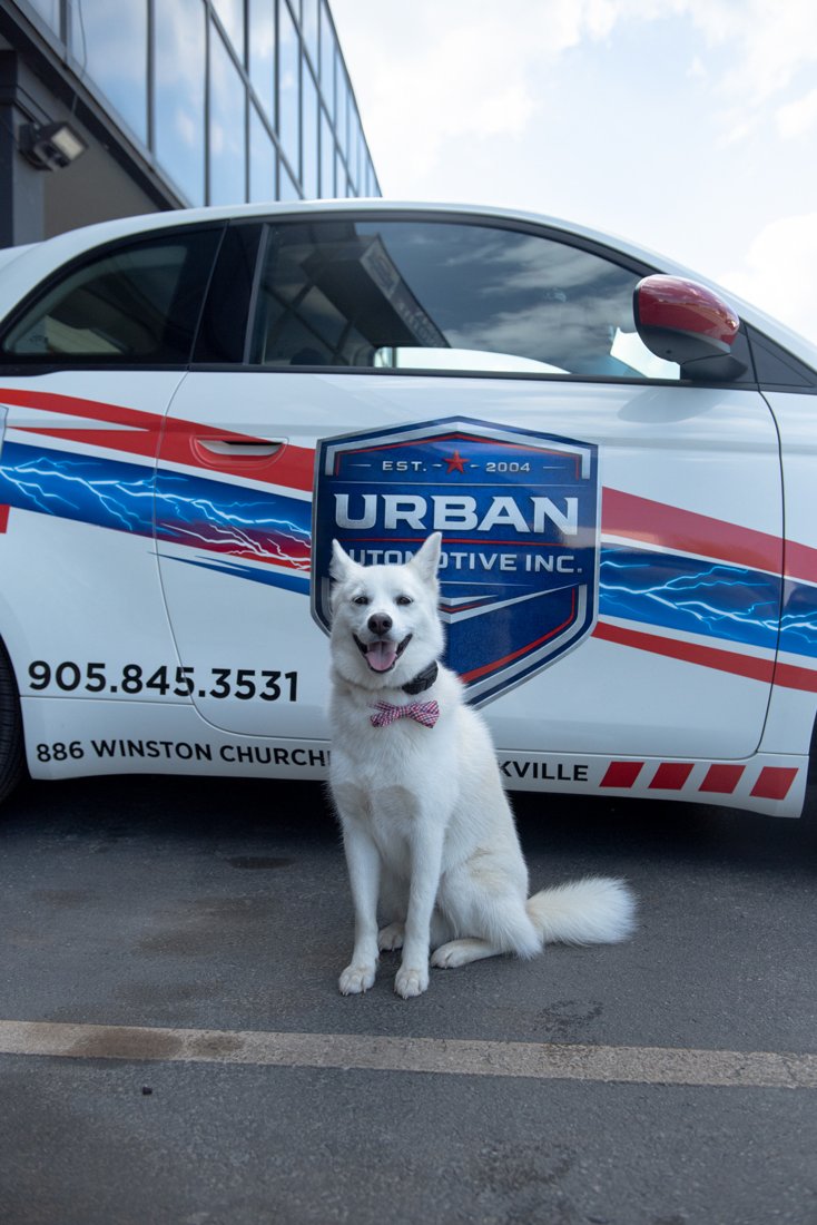 Kkochi, Urban Automotive's current Head of Security, beside the branded shuttle in Oakville