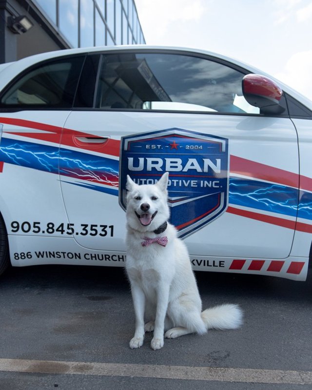 Kkochi Urban, Head of Security at Urban Automotive in Oakville